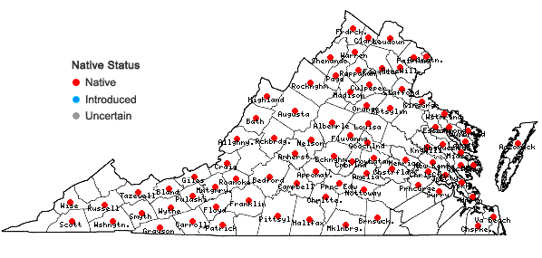 Locations ofSchoenoplectus tabernaemontani (Gmelin) Palla in Virginia