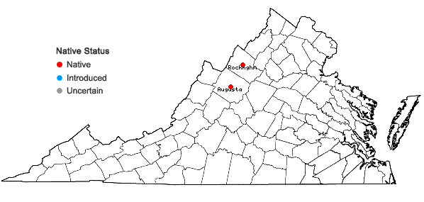 Locations ofSchoenoplectus torreyi (Olney) Palla in Virginia