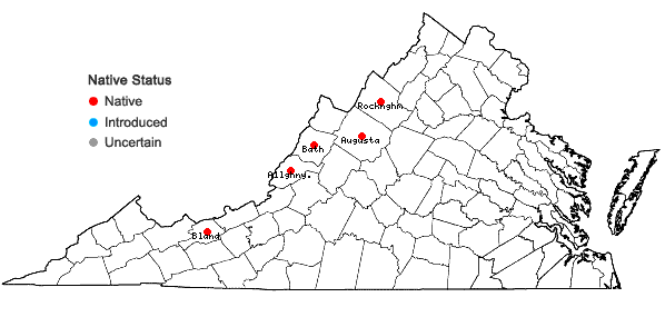 Locations ofScirpus ancistrochaetus Schuyler in Virginia