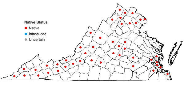 Locations ofScirpus atrovirens Willd. in Virginia