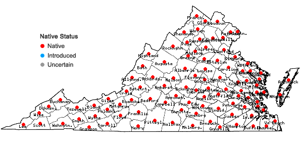 Locations ofScirpus cyperinus (L.) Kunth in Virginia