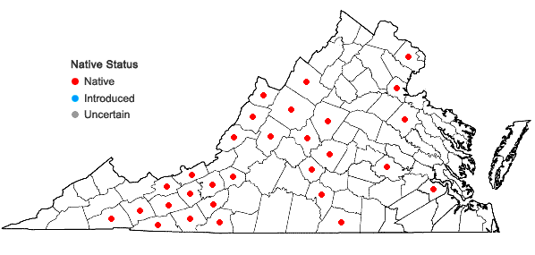 Locations ofScirpus expansus Fernald in Virginia