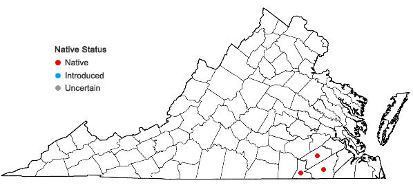 Locations ofScirpus flaccidifolius (Fernald) Schuyler in Virginia