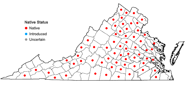 Locations ofScirpus georgianus Harper in Virginia