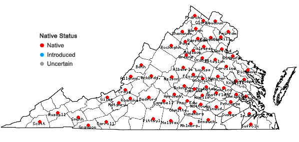 Locations ofScirpus georgianus Harper in Virginia