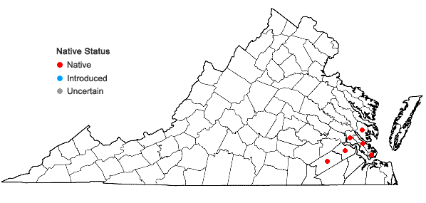 Locations ofScirpus lineatus Michaux in Virginia