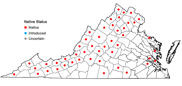 Locations ofScirpus pendulus Muhlenberg in Virginia