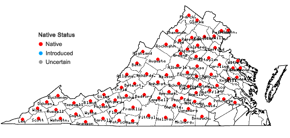 Locations ofScirpus polyphyllus Vahl in Virginia