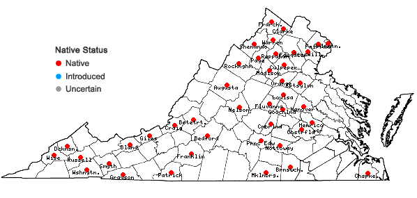 Locations ofSciuro-hypnum plumosum (Hedw.) Ignatov & Huttunen in Virginia