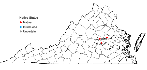 Locations ofSciuro-hypnum reflexum (Starke) Ignatov & Huttunen in Virginia