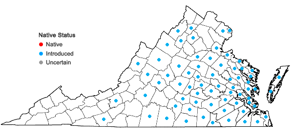 Locations ofScleranthus annuus L. in Virginia