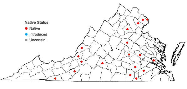 Locations ofScleria ciliata Michaux var. ciliata in Virginia