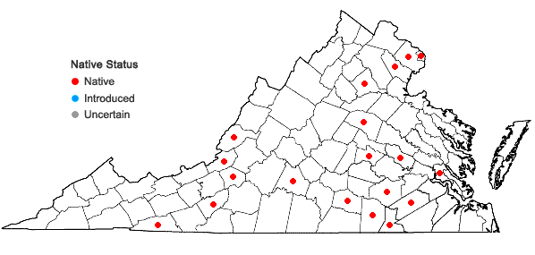 Locations ofScleria ciliata Michaux var. ciliata in Virginia