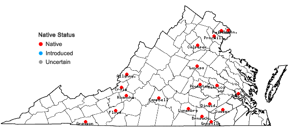 Locations ofScleria ciliata Michaux var. ciliata in Virginia