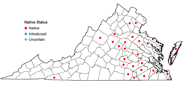 Locations ofScleria muehlenbergii Steudel in Virginia