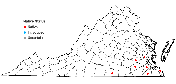 Locations ofScleria nitida Willd. in Virginia