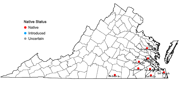 Locations ofScleria nitida Willd. in Virginia