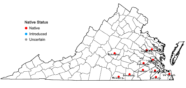 Locations ofScleria nitida Willd. in Virginia