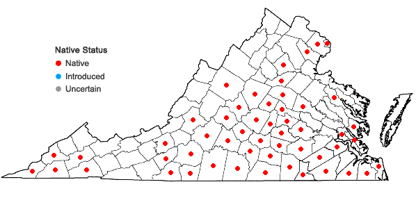 Locations ofScleria oligantha Michaux in Virginia