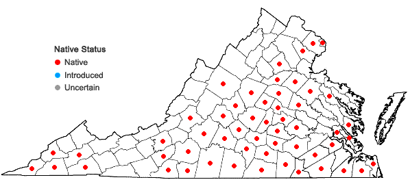 Locations ofScleria oligantha Michaux in Virginia