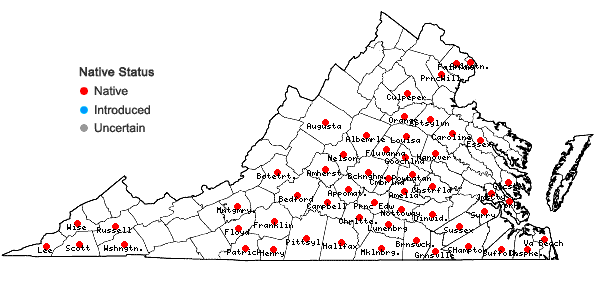 Locations ofScleria oligantha Michaux in Virginia
