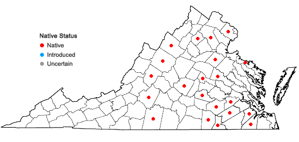 Locations ofScleria pauciflora Muhl. ex Willd. var. caroliniana A.W. Wood in Virginia