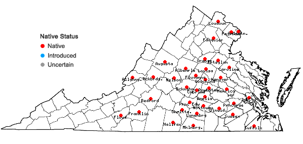 Locations ofScleria pauciflora Muhl. ex Willd. var. pauciflora in Virginia