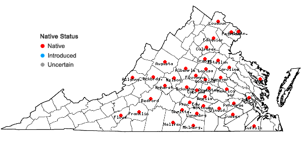 Locations ofScleria pauciflora Muhl. ex Willd. var. pauciflora in Virginia