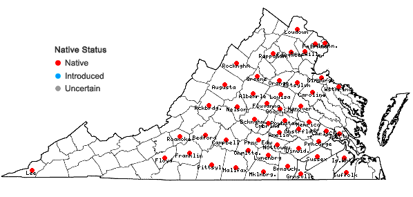 Locations ofScleria pauciflora Muhl. ex Willd. in Virginia