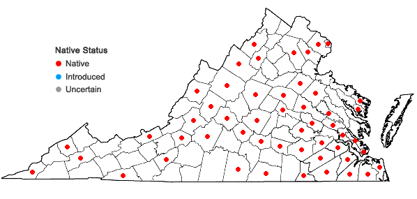 Locations ofScleria triglomerata Michaux in Virginia