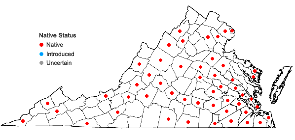 Locations ofScleria triglomerata Michaux in Virginia