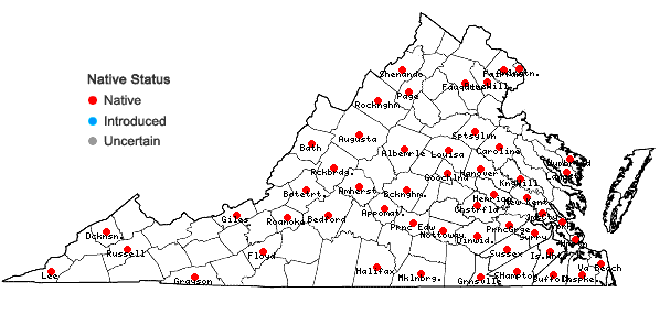 Locations ofScleria triglomerata Michaux in Virginia