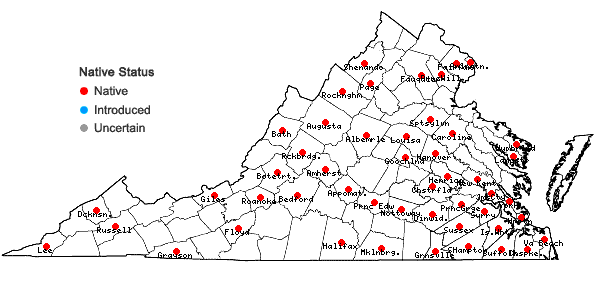 Locations ofScleria triglomerata Michaux in Virginia