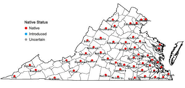 Locations ofScleria triglomerata Michaux in Virginia