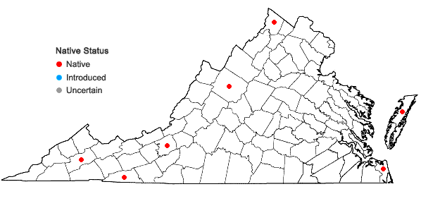 Locations ofScleria verticillata Muhl. ex Willd. in Virginia