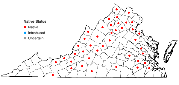 Locations ofScrophularia lanceolata Pursh in Virginia