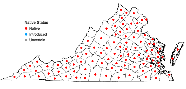 Locations ofScutellaria elliptica Muhl. ex Spreng. in Virginia
