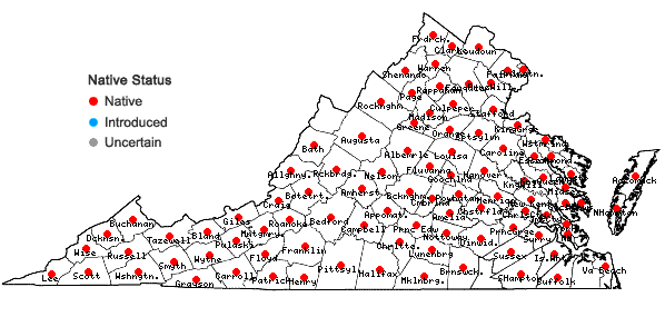 Locations ofScutellaria elliptica Muhl. ex Spreng. in Virginia