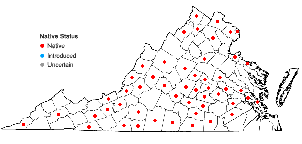 Locations ofScutellaria elliptica Muhl. ex Spreng. var. elliptica in Virginia