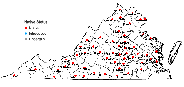Locations ofScutellaria elliptica Muhl. ex Spreng. var. elliptica in Virginia