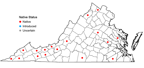 Locations ofScutellaria elliptica Muhl. ex Spreng. var. hirsuta (Short & Peter) Fern. in Virginia
