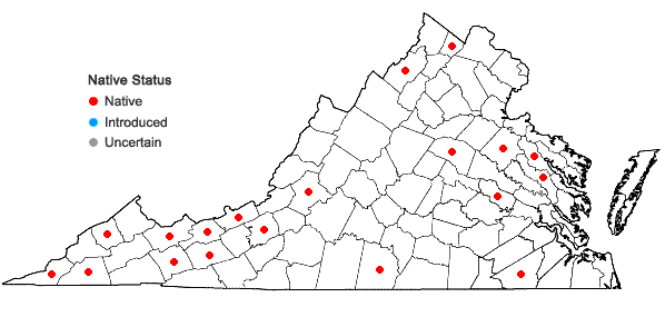 Locations ofScutellaria elliptica Muhl. ex Spreng. var. hirsuta (Short & Peter) Fern. in Virginia