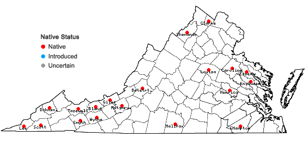 Locations ofScutellaria elliptica Muhl. ex Spreng. var. hirsuta (Short & Peter) Fern. in Virginia