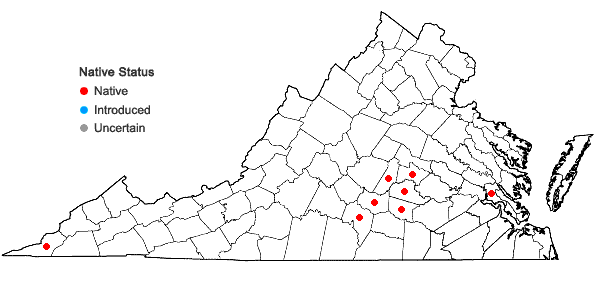 Locations ofScutellaria incana Biehler in Virginia