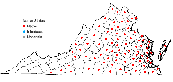Locations ofScutellaria integrifolia L. in Virginia
