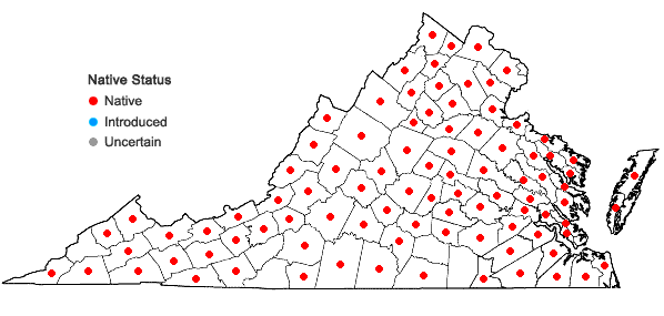 Locations ofScutellaria lateriflora L. var. lateriflora in Virginia