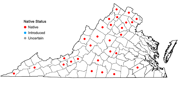 Locations ofScutellaria leonardii Epling in Virginia