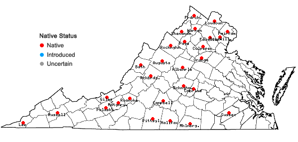 Locations ofScutellaria leonardii Epling in Virginia