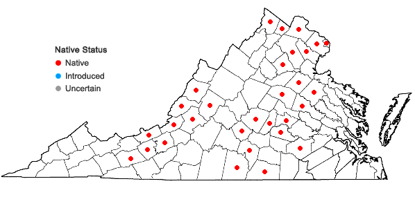 Locations ofScutellaria nervosa Pursh in Virginia