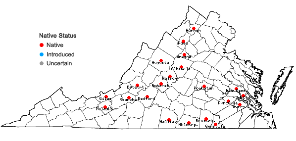 Locations ofScutellaria ovata Hill ssp. ovata in Virginia